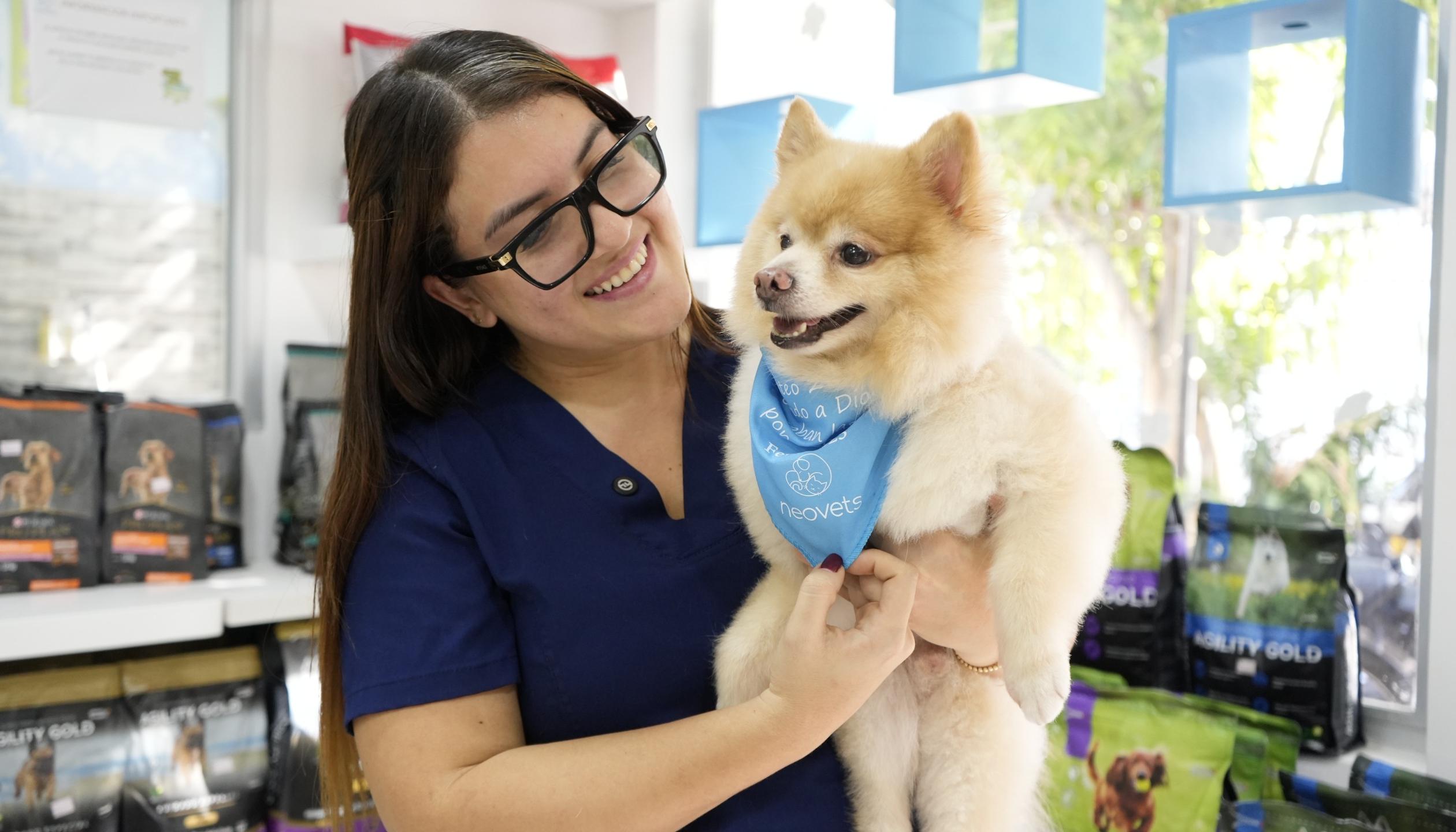 Las mascotas sufren con la pólvora