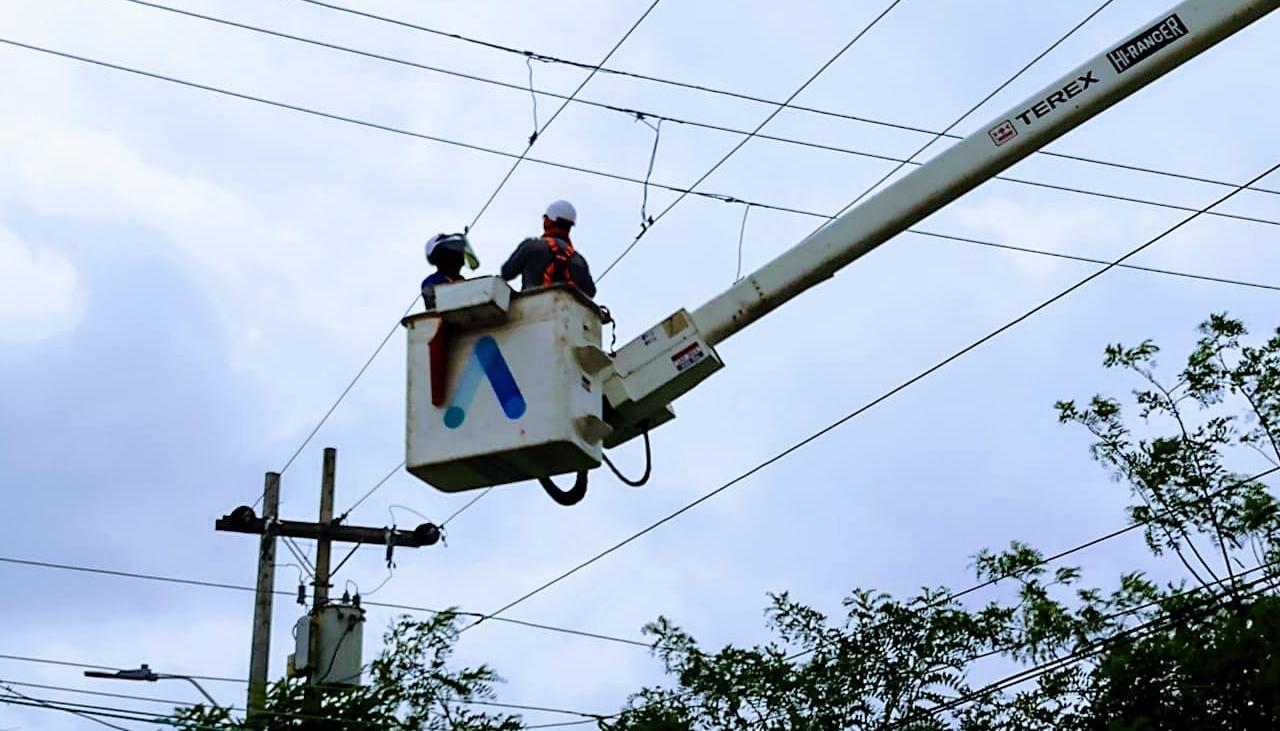 Imagen de referencia. 