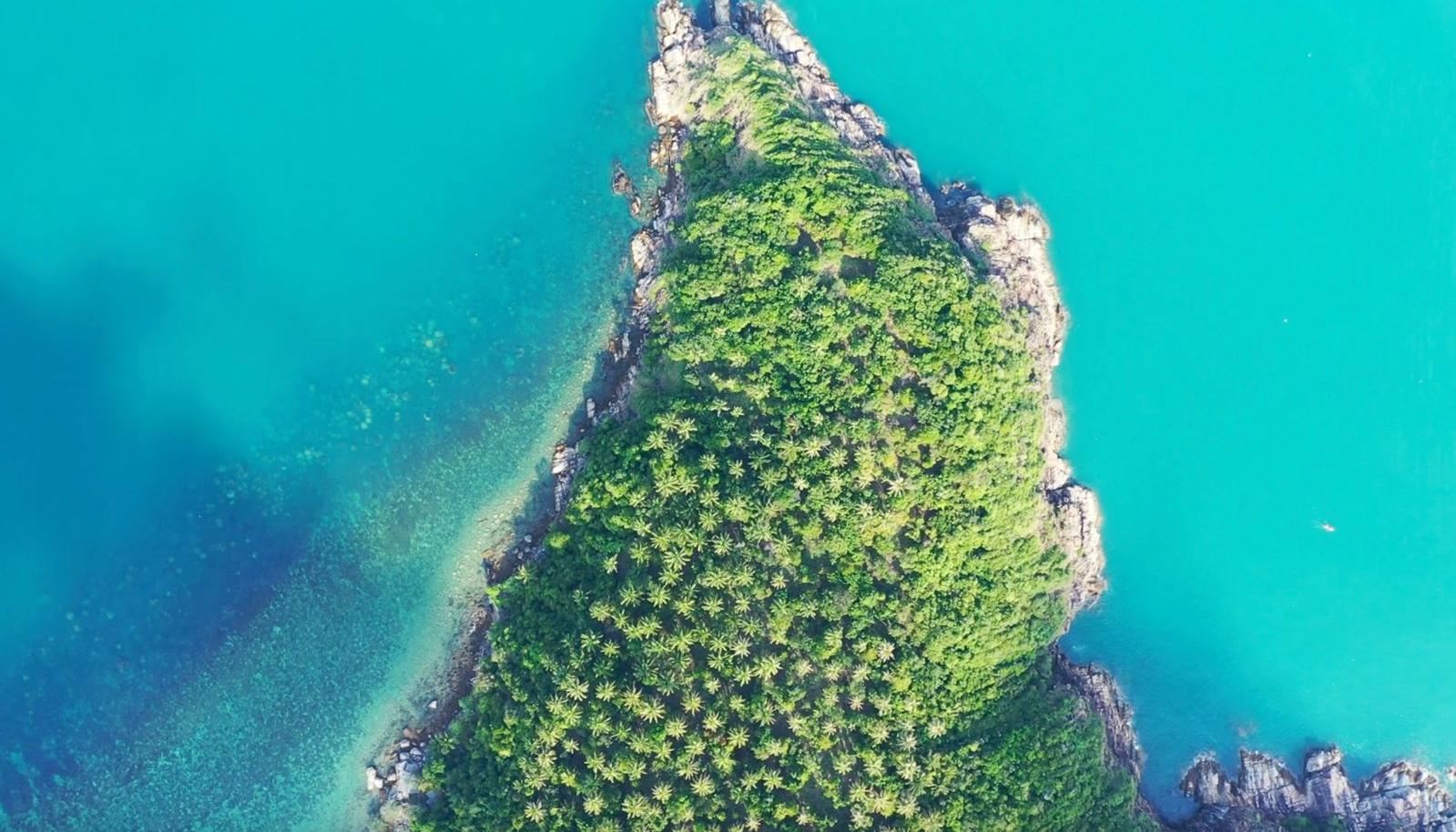 Imagen de referencia.