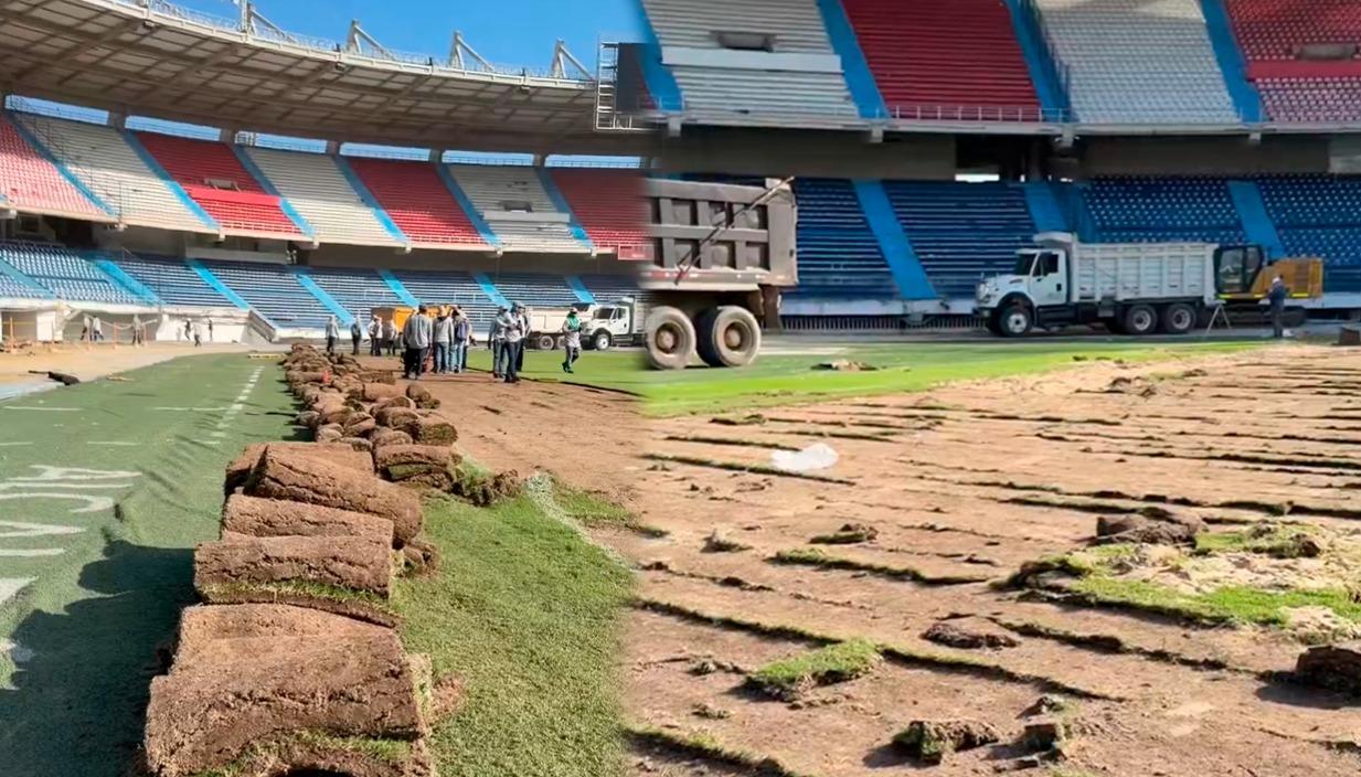 Grama del estadio Metropolitano.