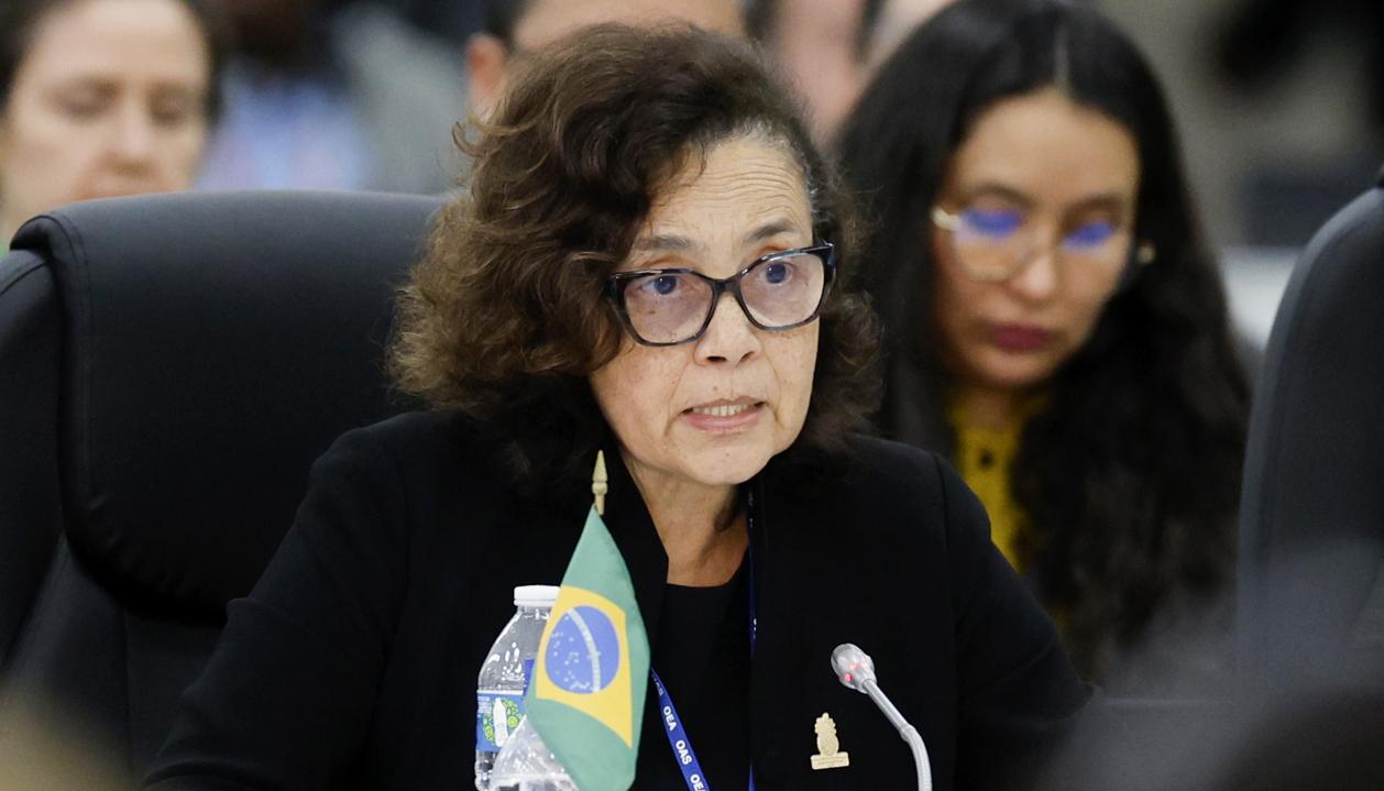 Secretaria General de Asuntos Exteriores de Brasil, Maria Laura da Rocha.