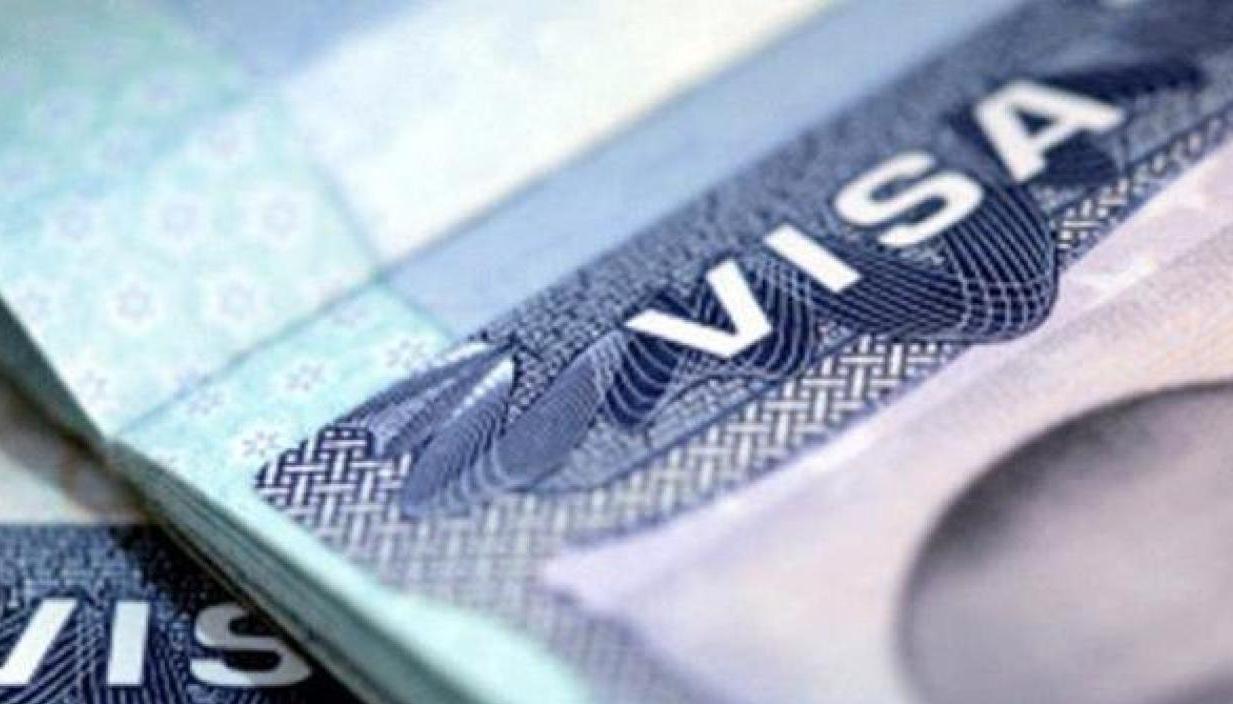 Imagen de referencia de la visa. 