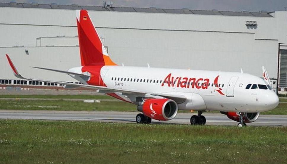 Imagen de referencia.