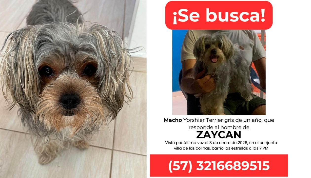 Una foto de Zaykan y el afiche que su familia está distribuyendo