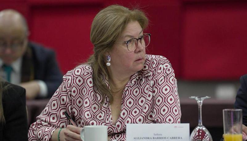 Alejandra Barrios, directora de la MOE.