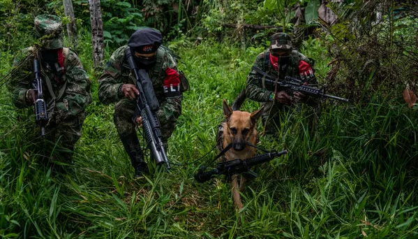 Guerrilla del ELN