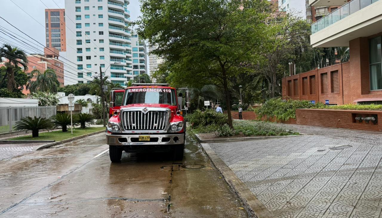 Imagen de referencia.