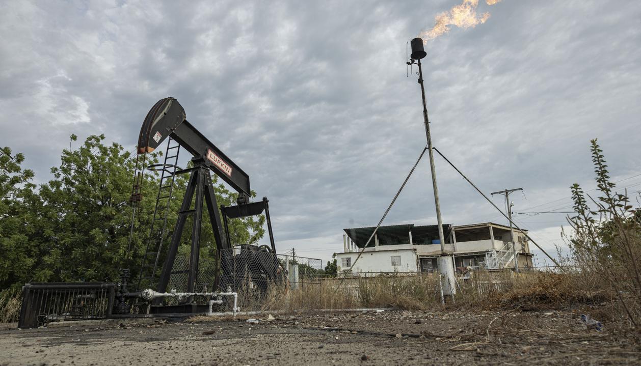 Imagen de referencia.