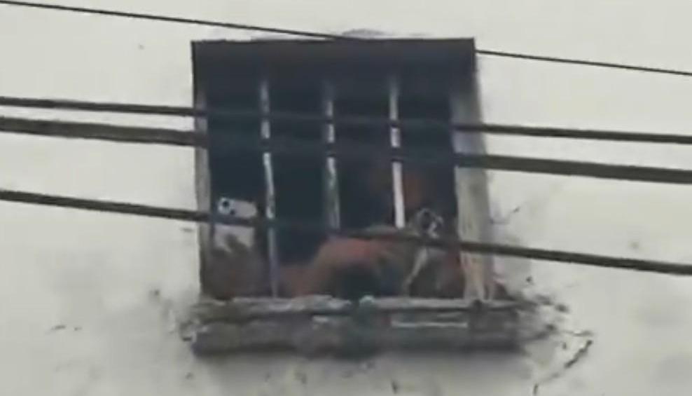 Presos grabando desde la Cárcel Modelo Barranquilla