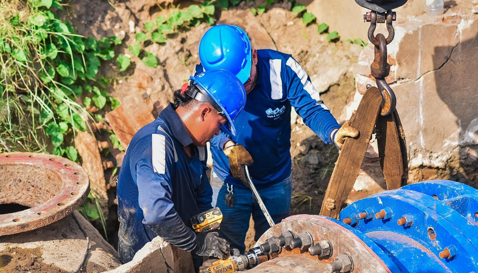 Imagen de referencia.