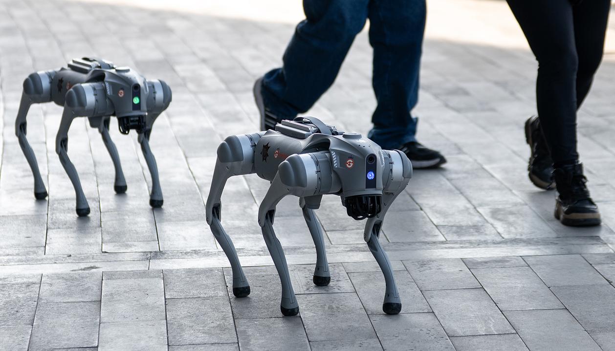 Dos de los perros robots que serán utilizados durante el próximo Mundial.