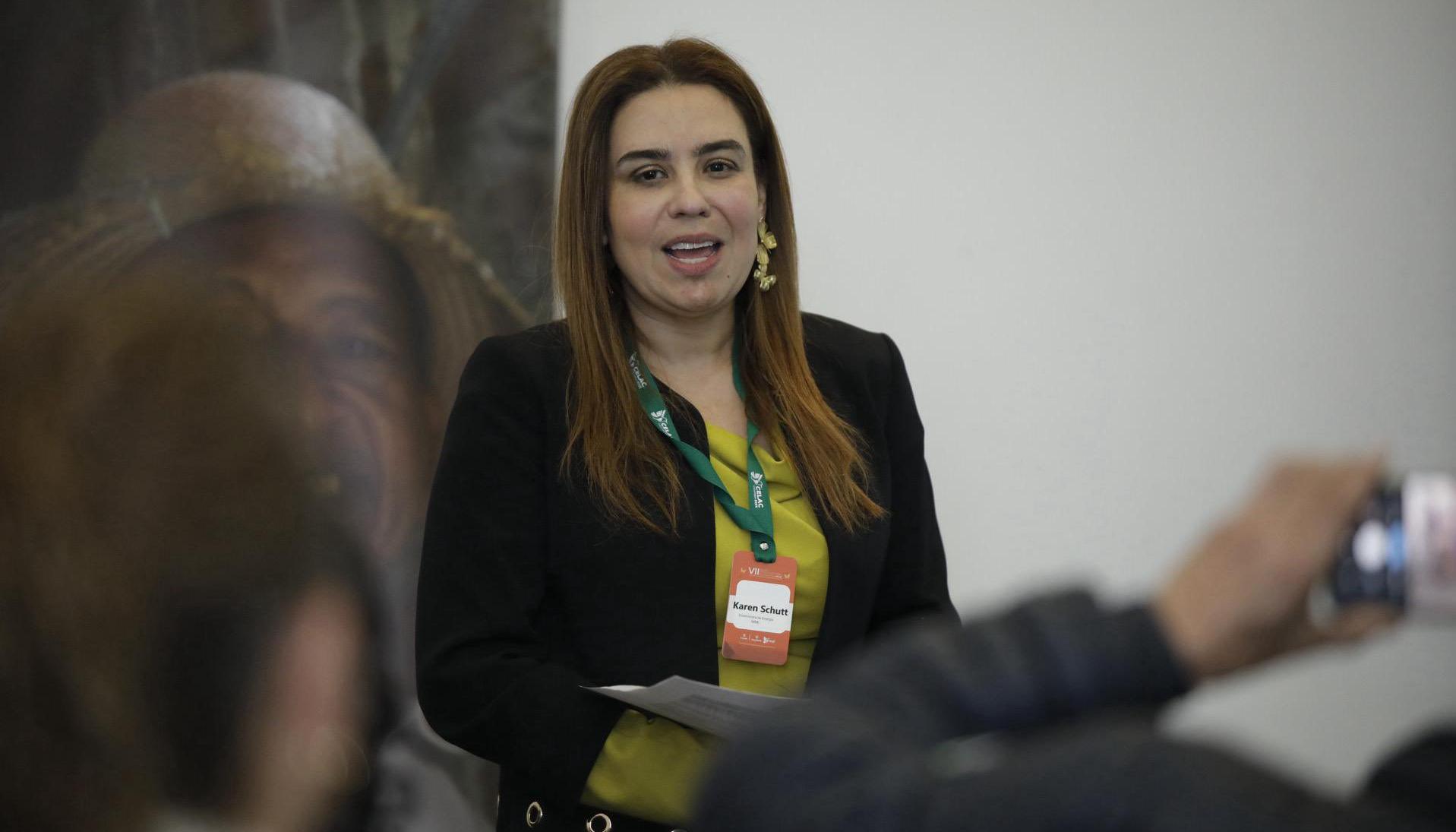 Karen Schutt, experta comisionada de la Creg.