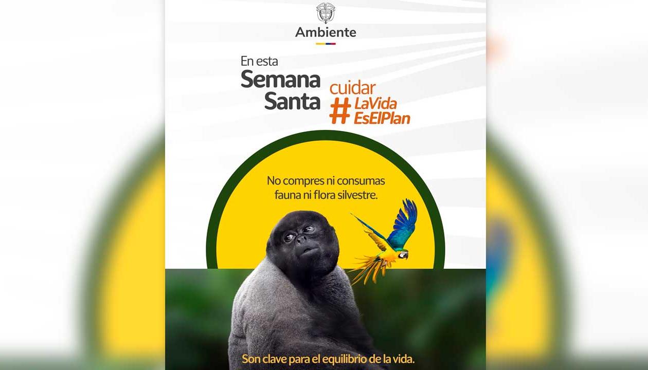 Imagen del Ministerio de Ambiente.