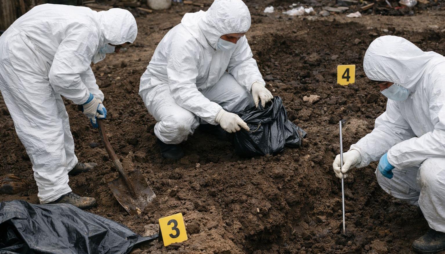 Imagen de referencia. 