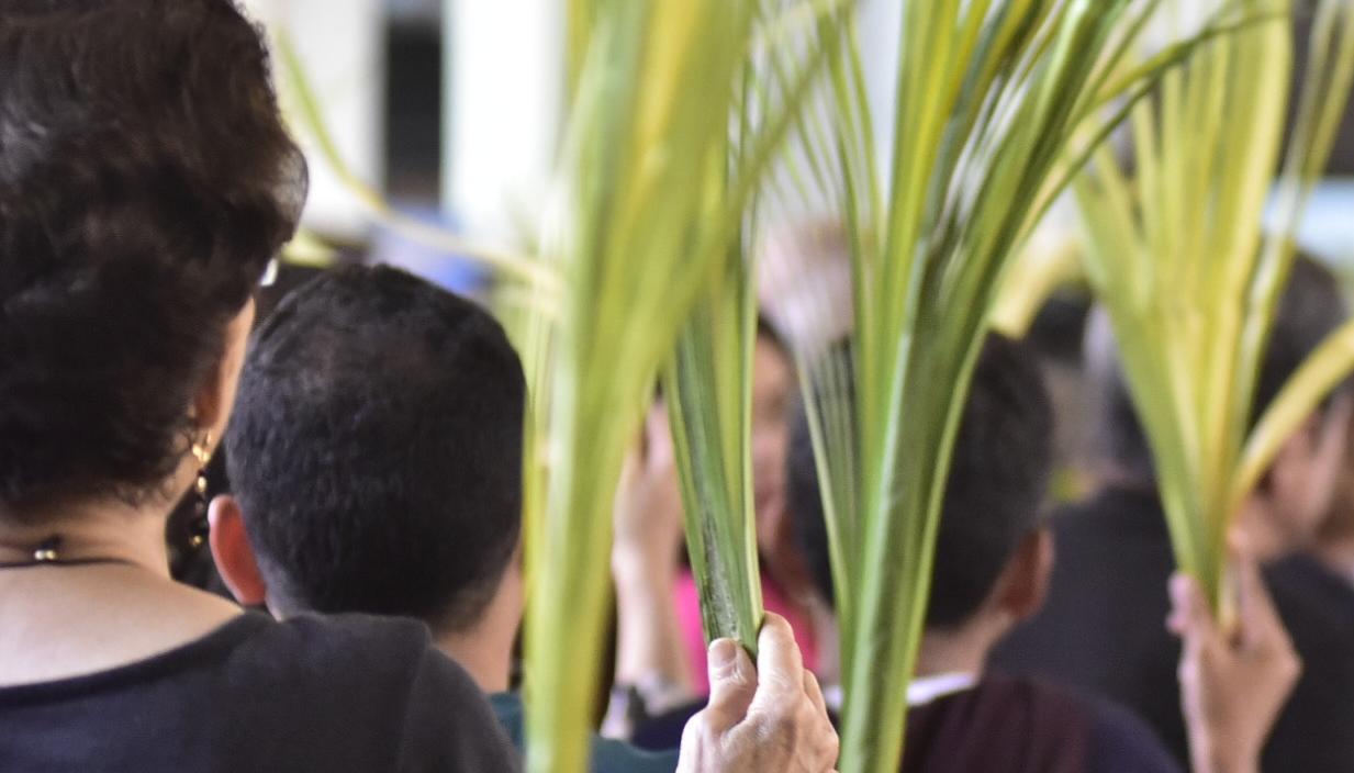 Celebración del Domingo de Ramos.