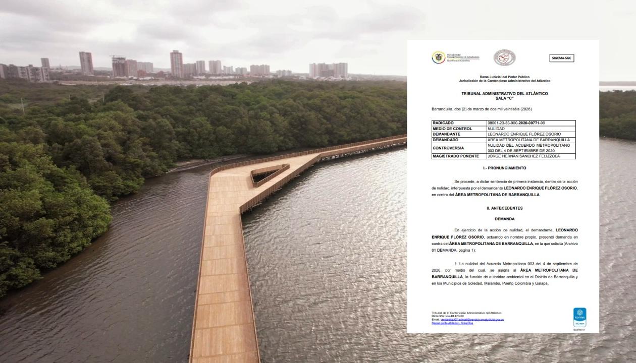 Fallo que declara la nulidad a Área Metropolitana como autoridad ambiental. 