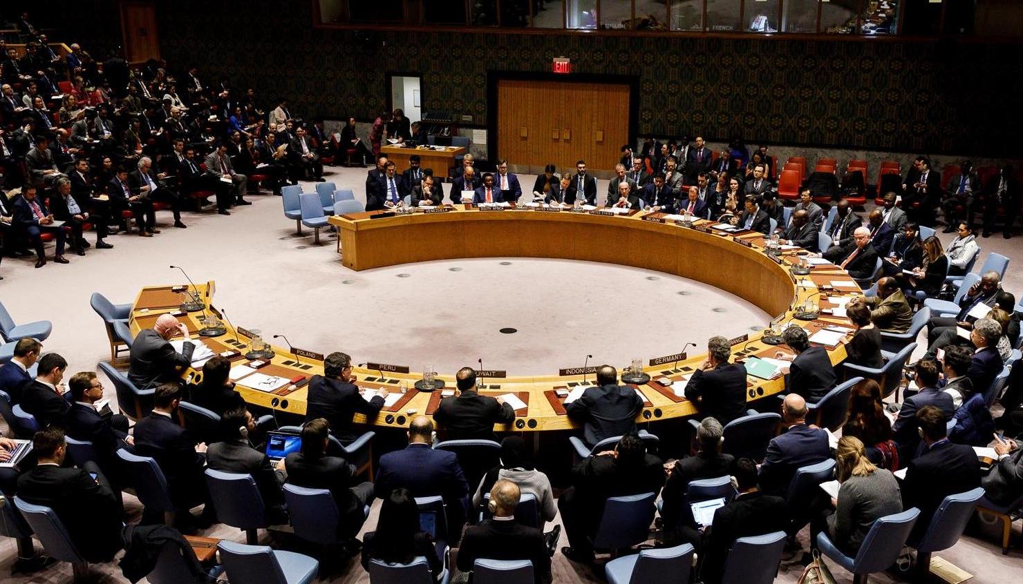 Consejo de Seguridad de la ONU. 