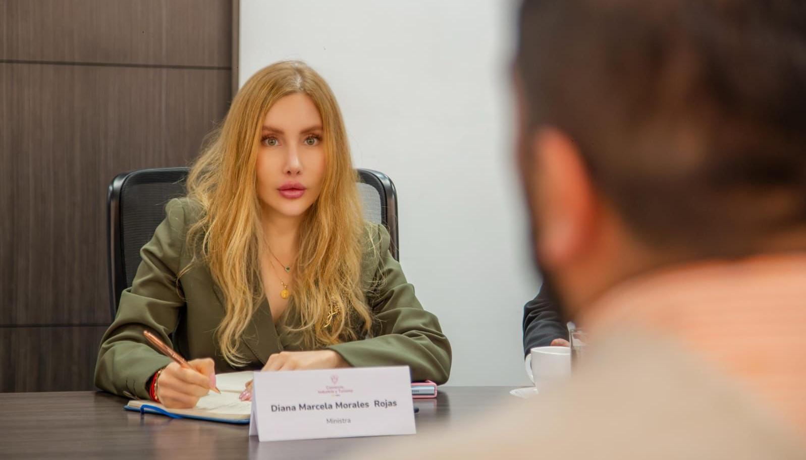 Diana Morales, ministra de Comercio.