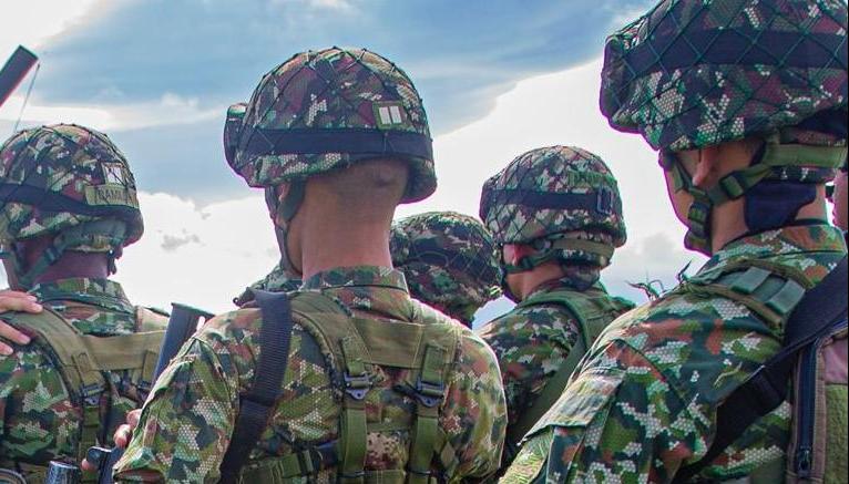 Imagen de referencia.