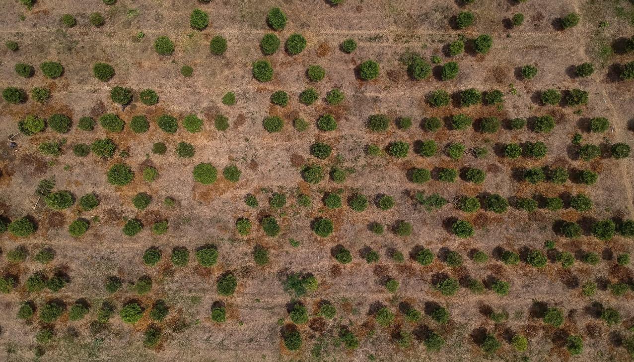 Foto con efectos del fenómeno de El Niño.