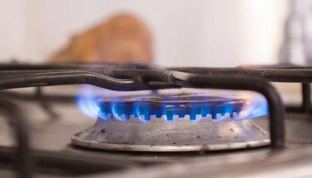 Imagen de referencia.