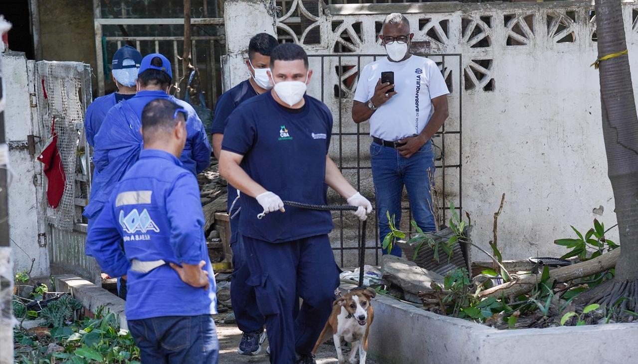 Recuperación de animales en vivienda del norte. 