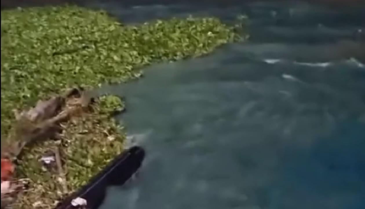 La extraña mancha azul en el río Magdalena. 