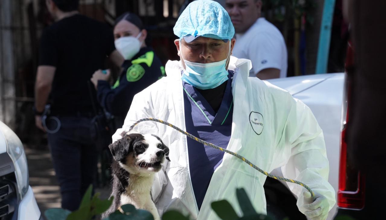 Imagen del operativo.