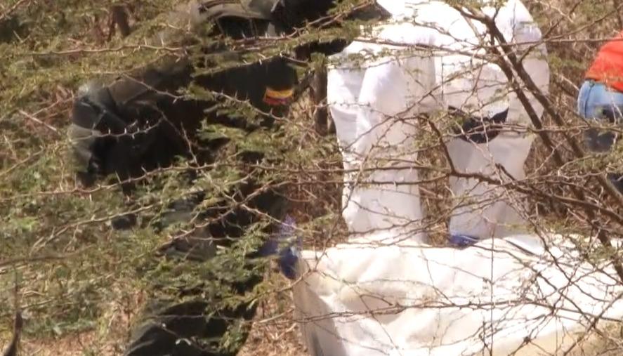 Imagen de referencia. 