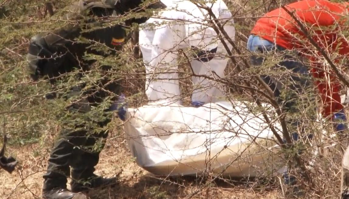 Imagen de referencia. 