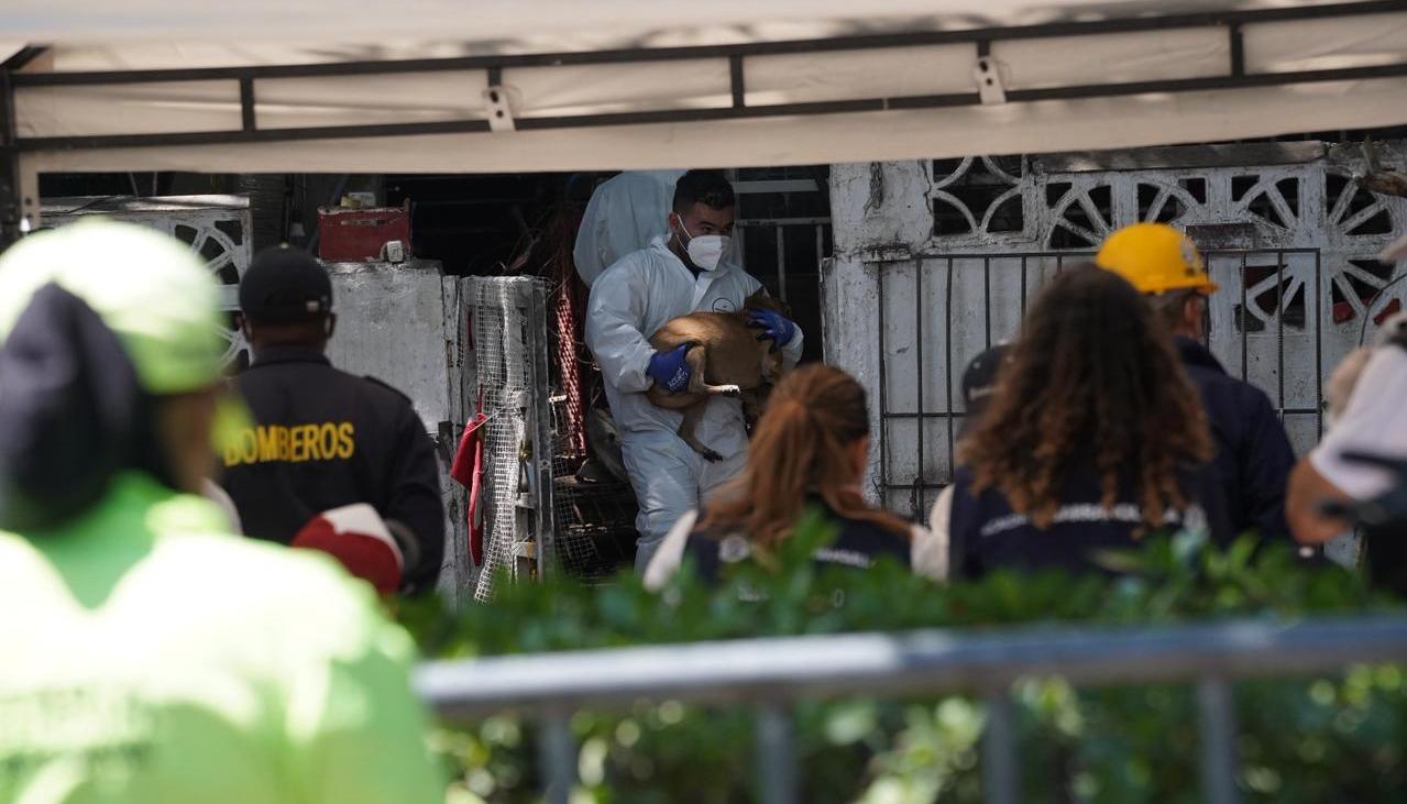 Momento de la inspección en la vivienda.