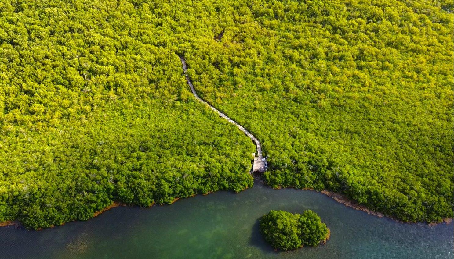 Zona verde de San Andrés atendida por Coralina