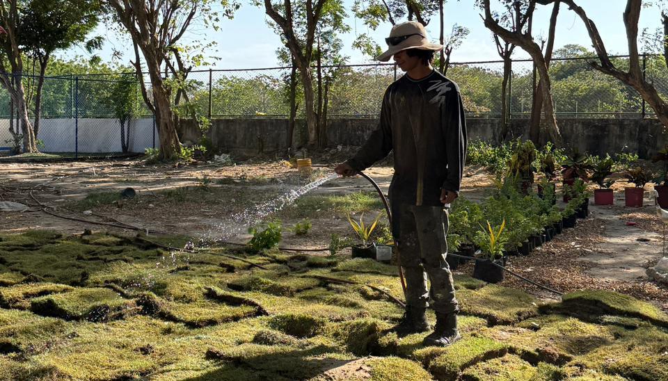 Gramilla instalada en la Humboldt procedente del Metropolitano