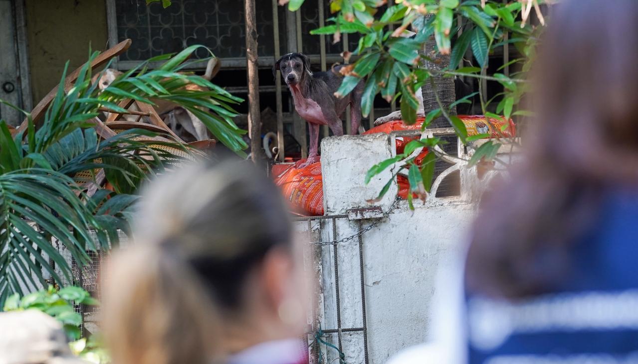 Operativo de las autoridades en casa del norte.