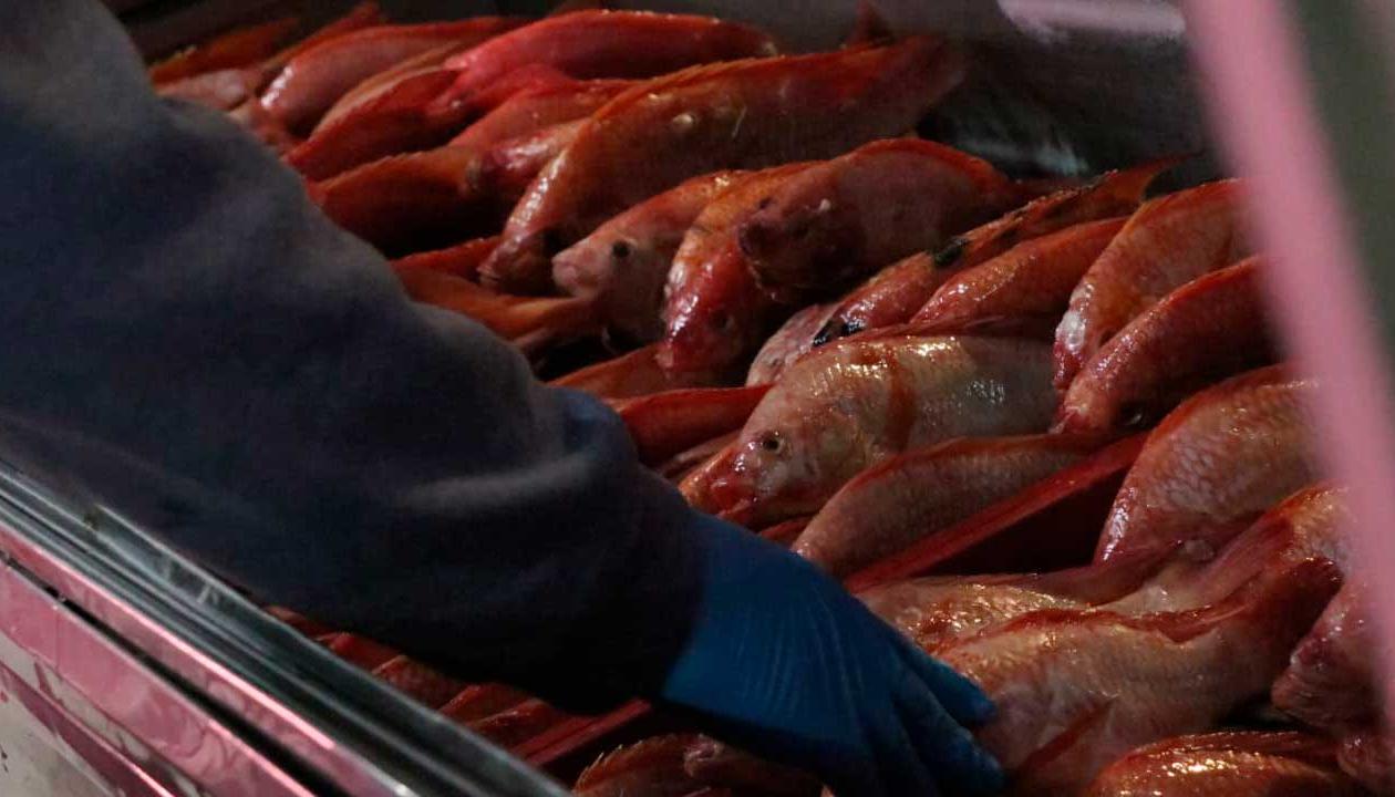 Se prevé un comportamiento estable de los precios durante Semana Santa.