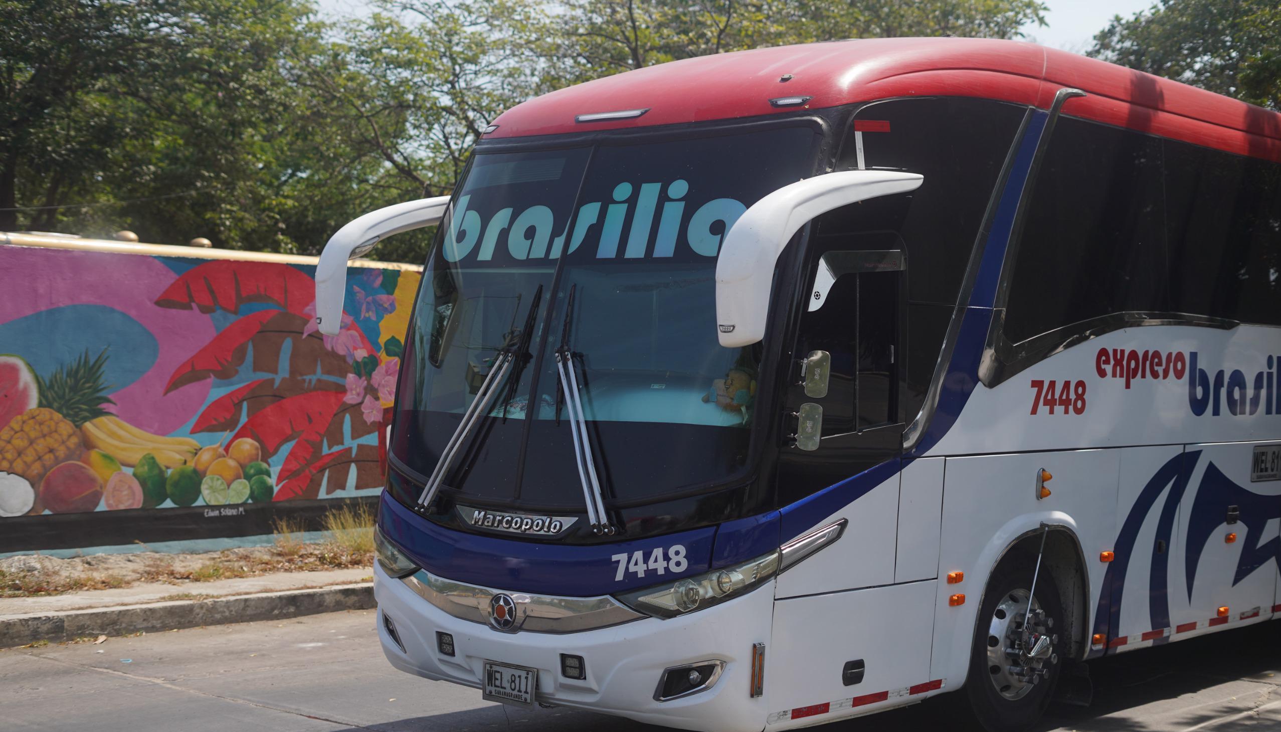 Buses que prestan sus servicios en la Terminal de Transporte. 