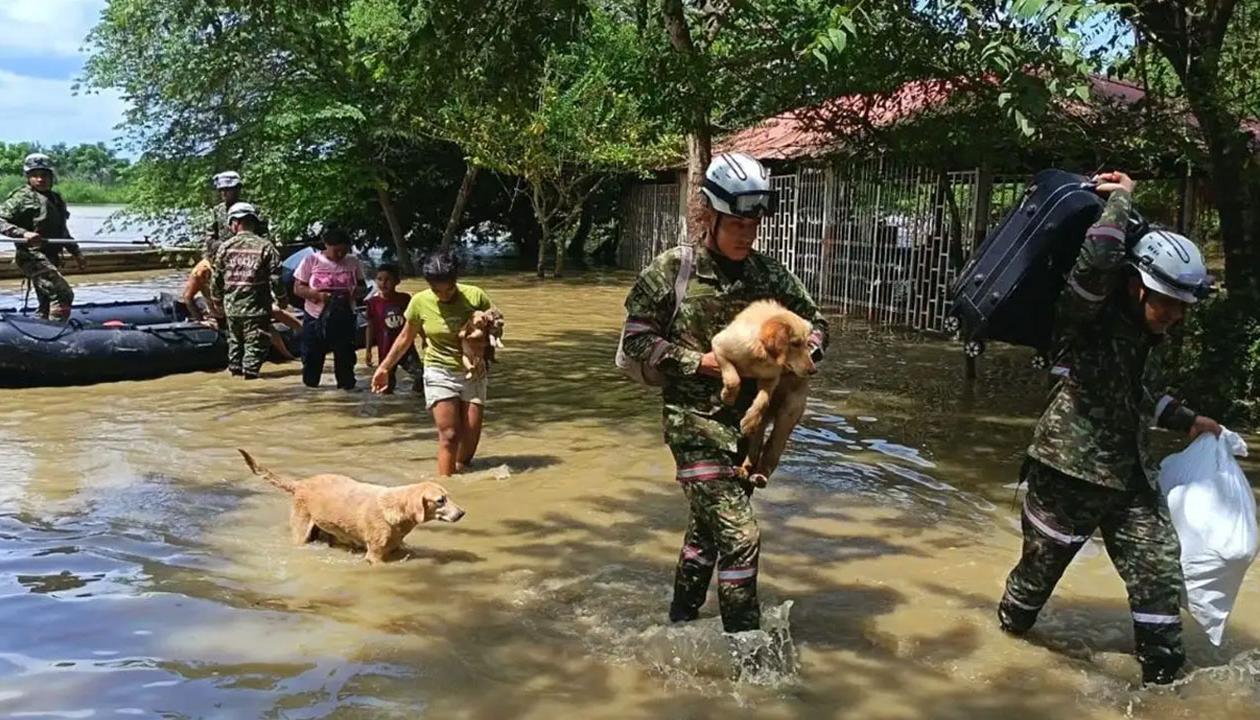Imagen de referencia.