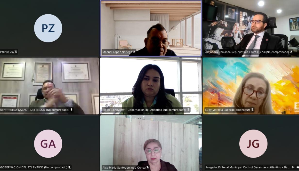 Aspecto de la audiencia virtual de este miércoles. 