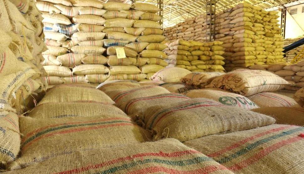 Imagen de referencia.