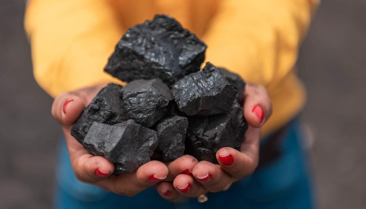 Imagen de referencia.