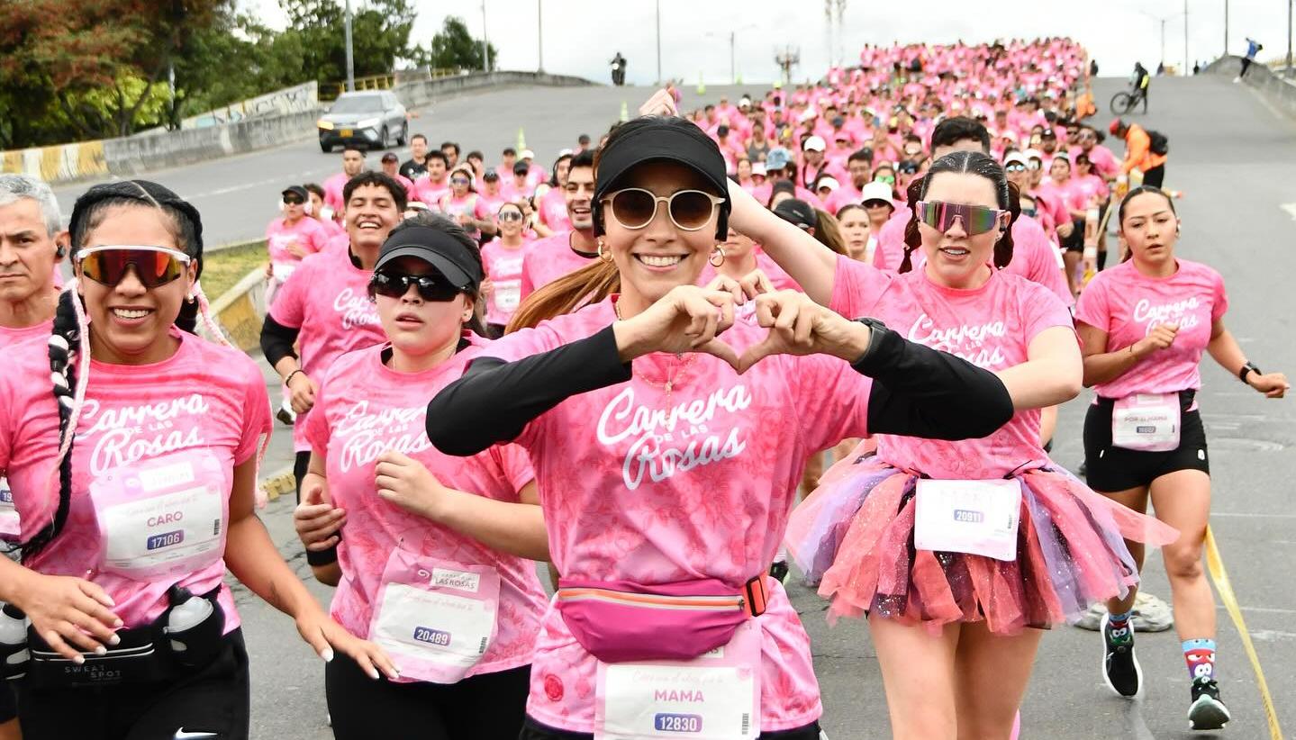 Imagen de referencia.