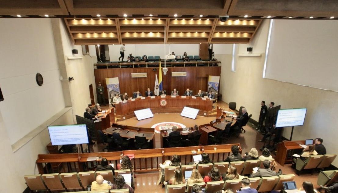 Corte Constitucional.