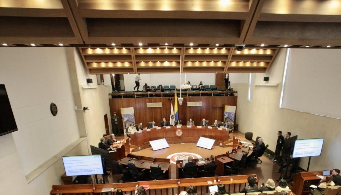 Corte Constitucional.