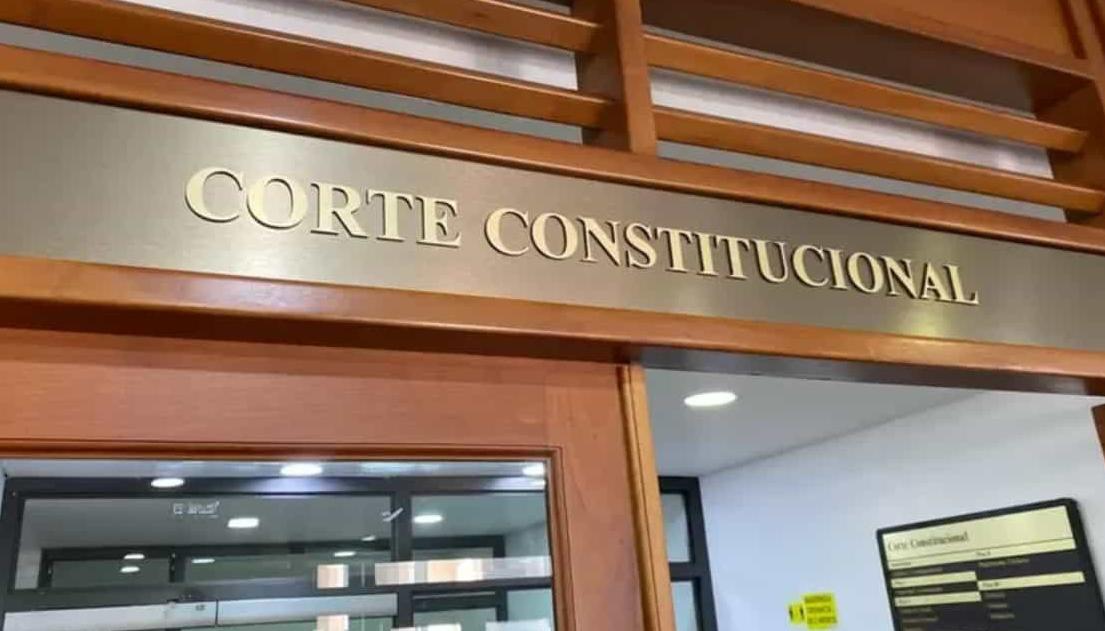 Corte Constitucional.