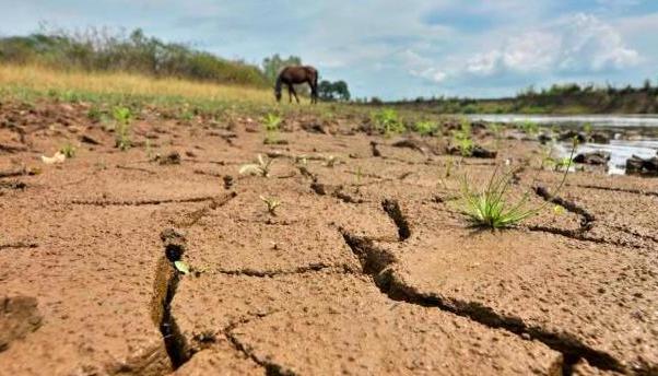 El fenómeno originará deficit de lluvias en el país. 