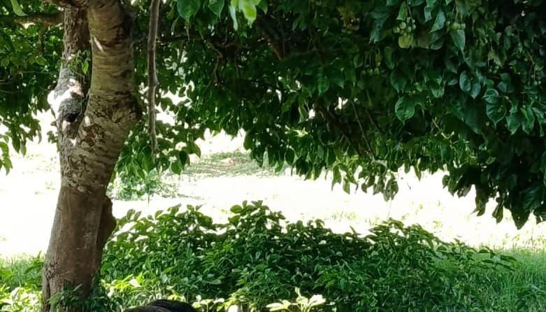 Sector La Playa, zona rural del municipio de Campo de la Cruz. 