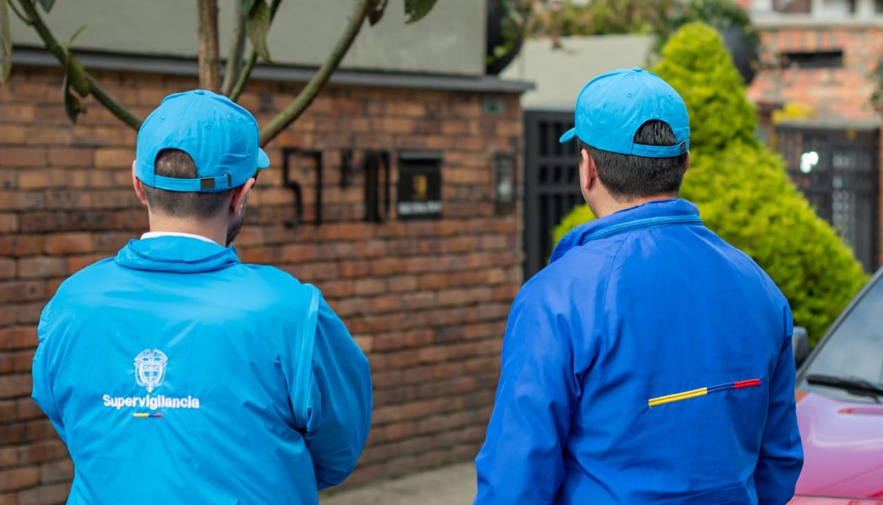 Imagen de referencia.