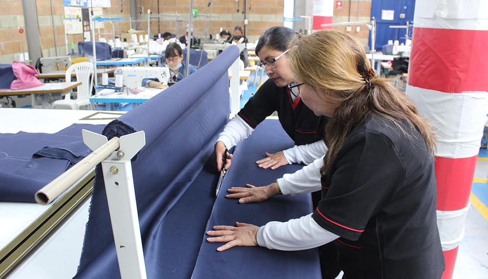 Industria manufacturera.