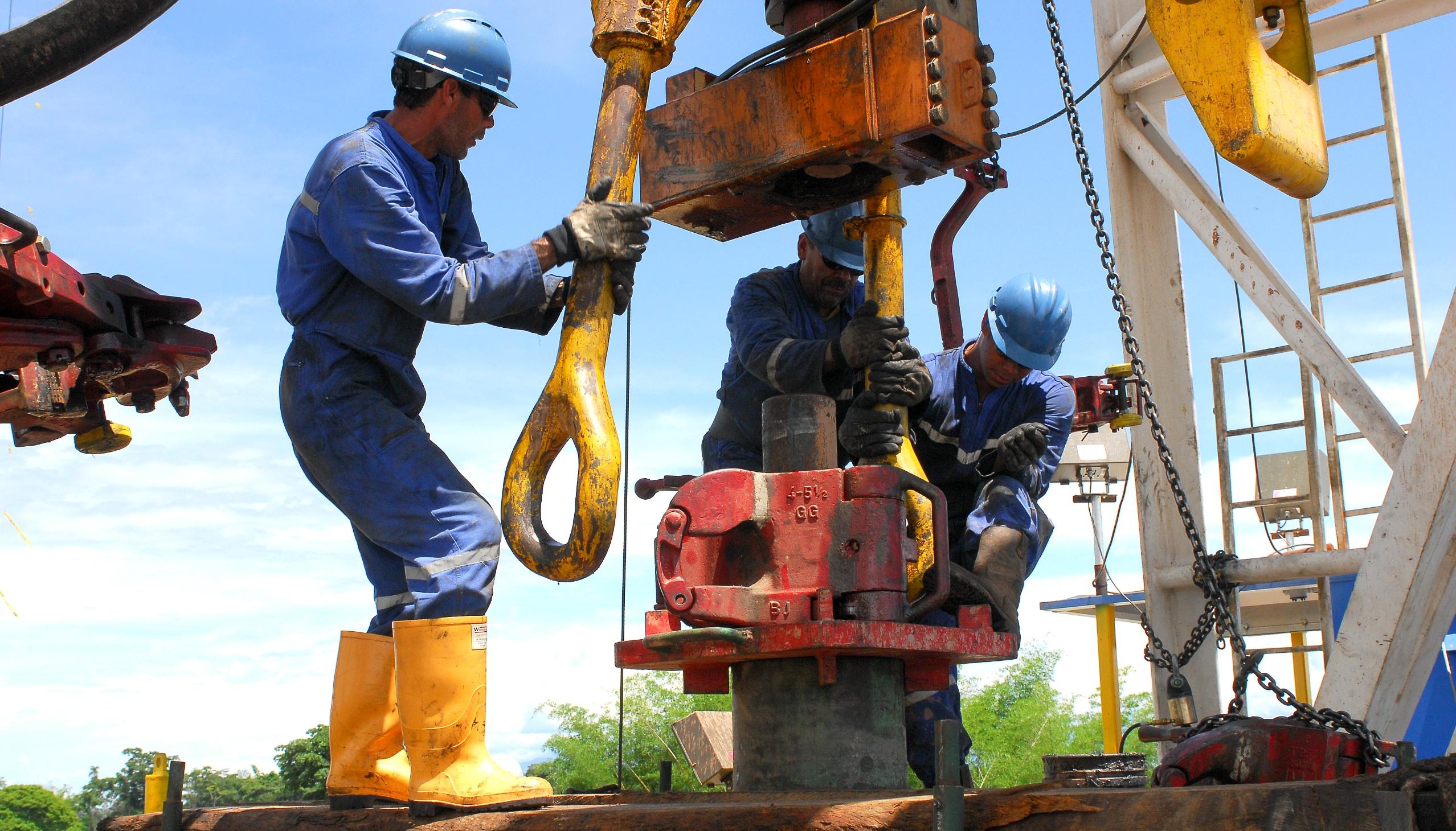 Imagen de referencia.