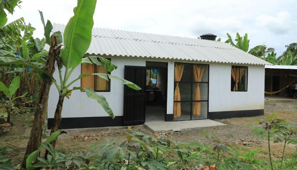 Imagen de referencia.